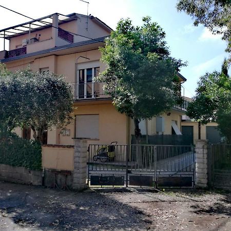 Il Merlo Pisa Luaran gambar